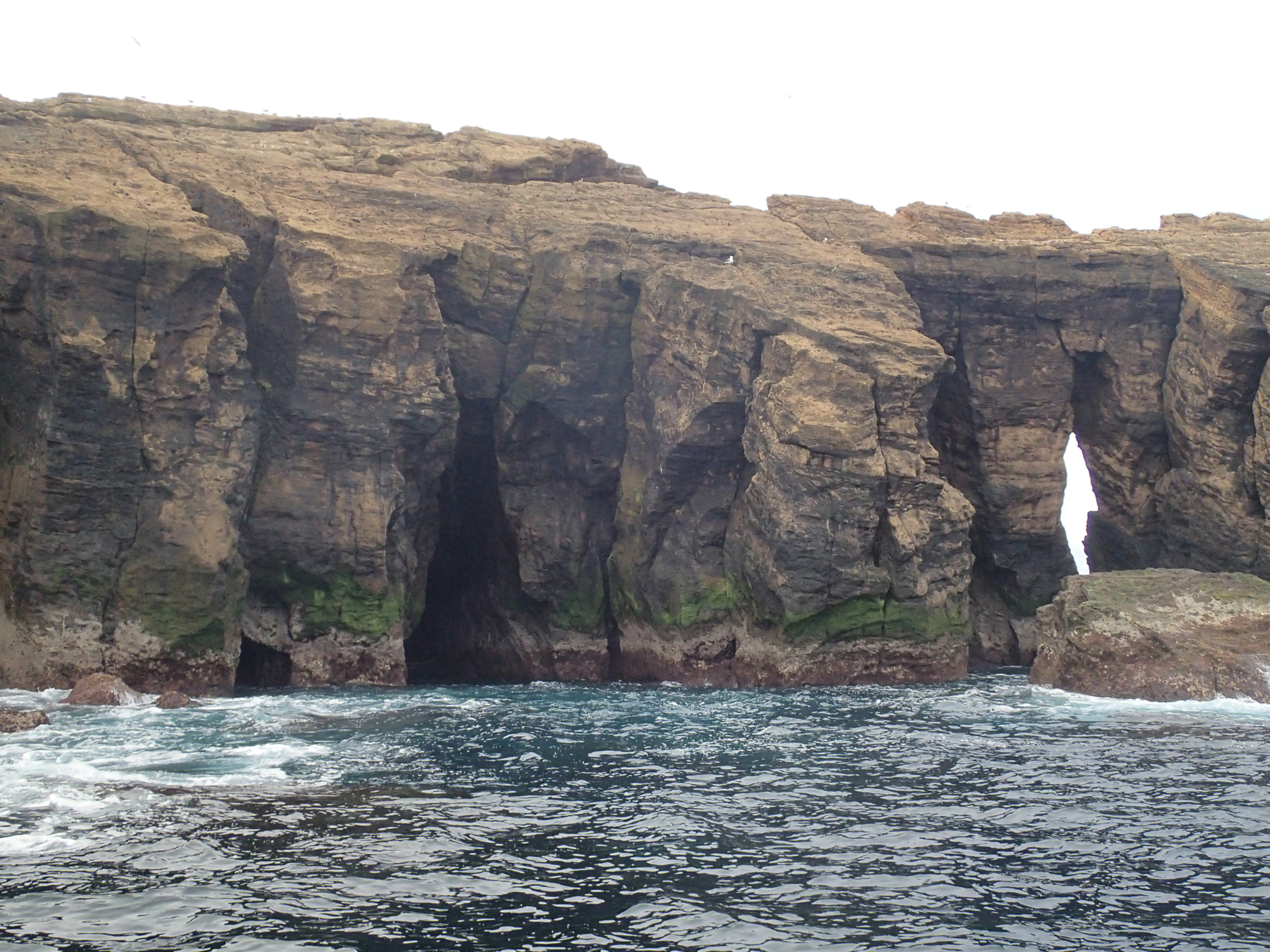 8330 – Grutas marinhas submersas ou parcialmente submersas