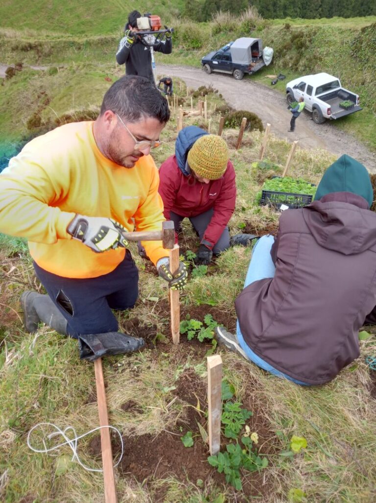 2026.03.27 – Plantação de espécies endémicas em São Miguel