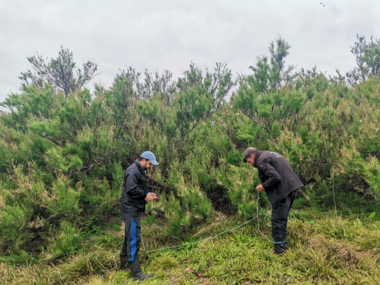 2026.04.21 – Monitorização da vegetação do Ilhéu da Praia – Graciosa