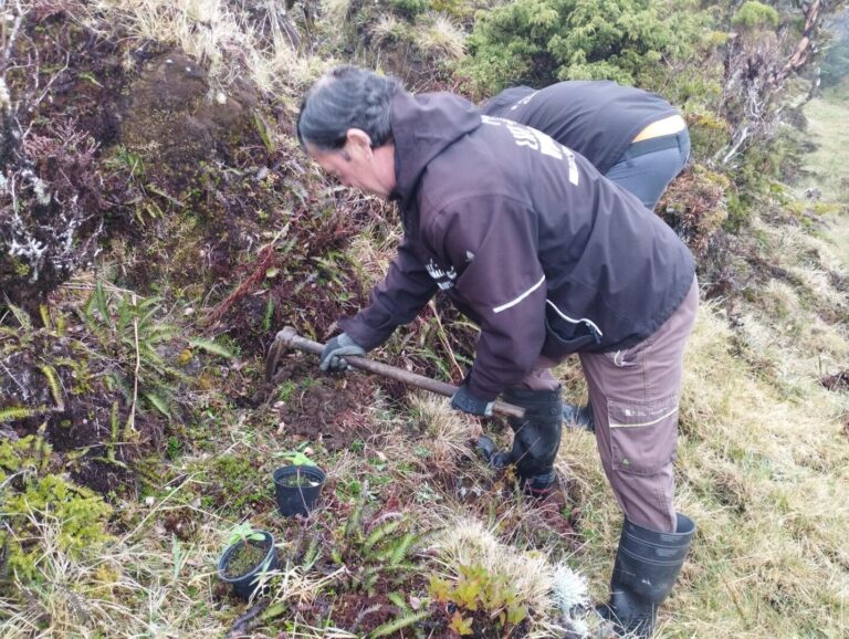 2026.03.30 – Plantação de espécies endémicas no Pico